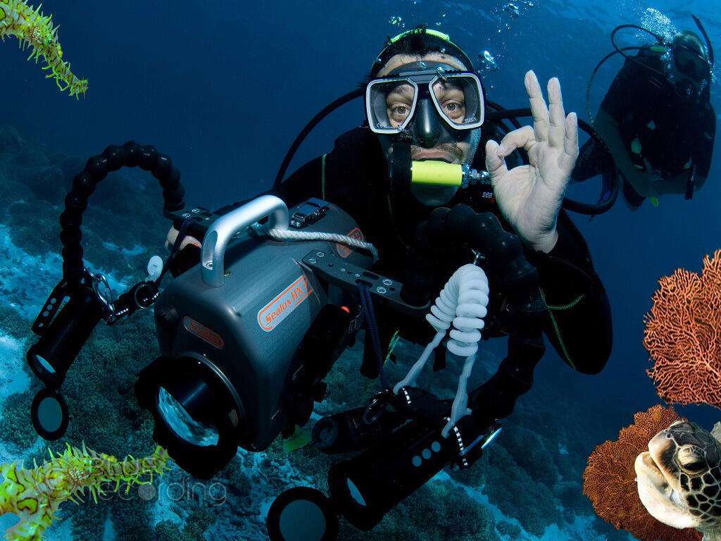 professionelle Unterwasser Foto & Video Aufnahmen