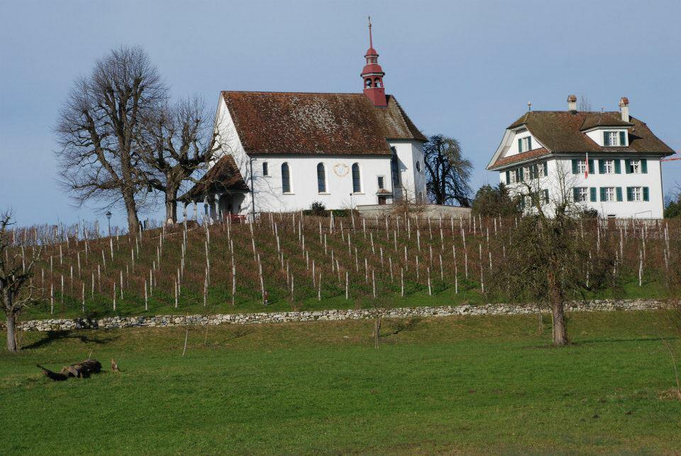 Weinbau Mariazell