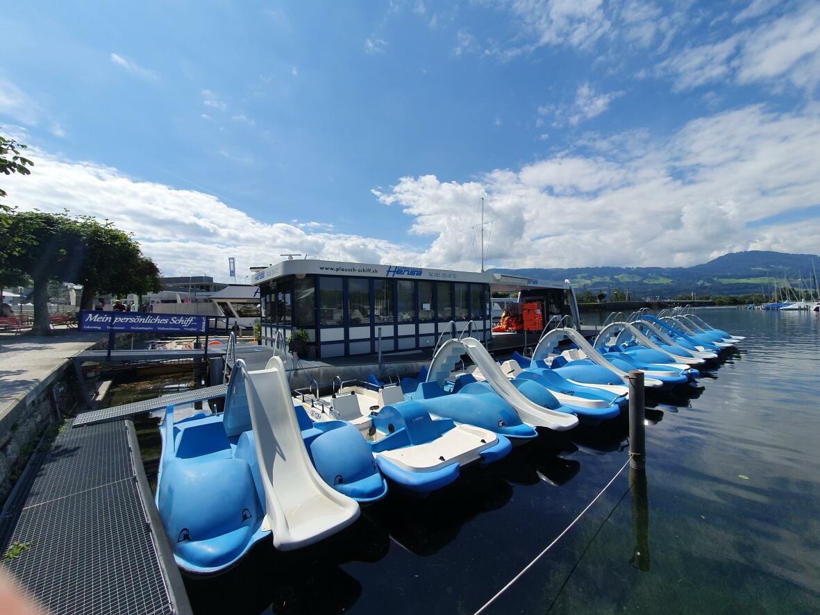 Pedalo Race on Lake Zürich - Pedal, Ready, Go!