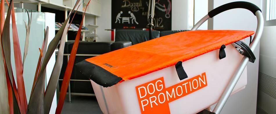 Dog Promotion