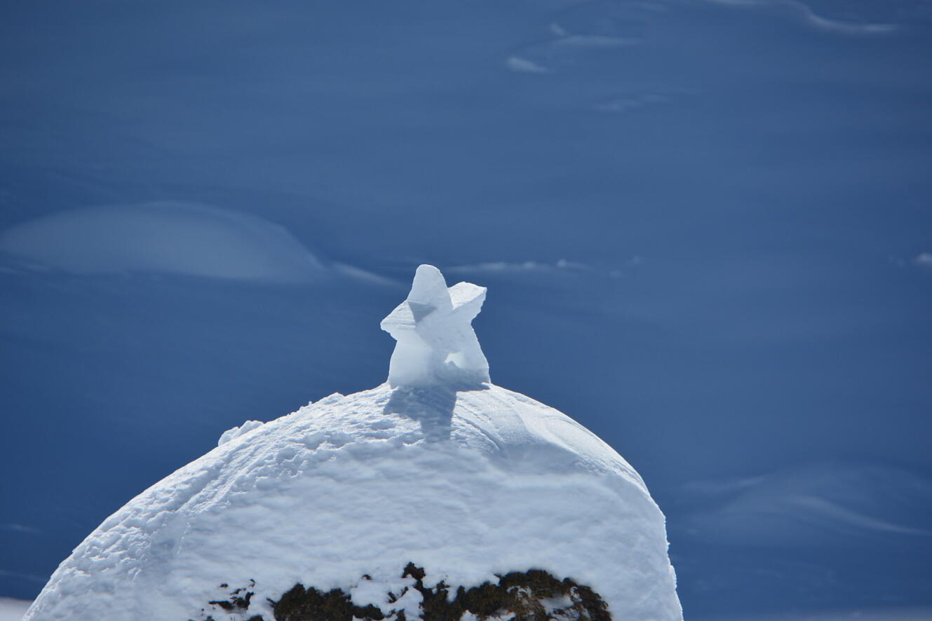 Bauen mit Schnee und Übernachtung auf 1900 M. ü. M