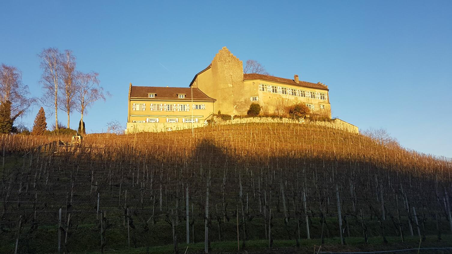 Event & Hochzeitslokation Schloss Schwandegg