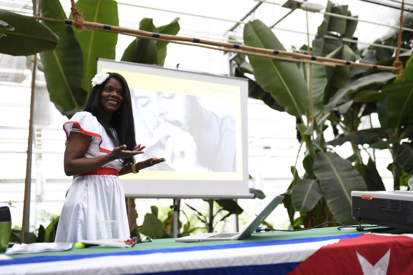 Experience Cuban Lifestyle Live - FAMA CUBANA