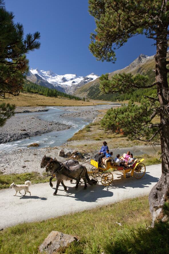 Reiten und Kutschenfahrten um Pontresina/ Engadin