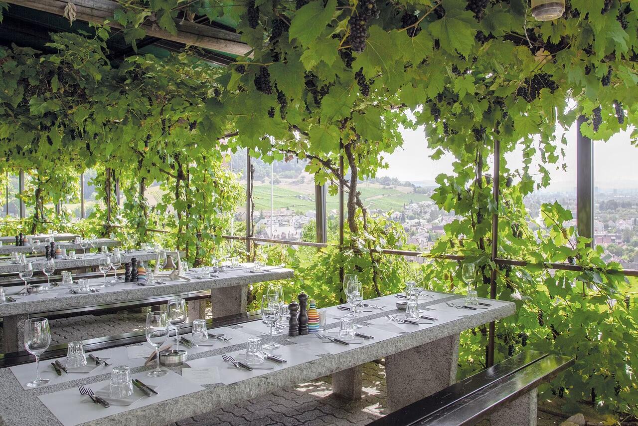 Winzerhaus - Bijou im Rebberg