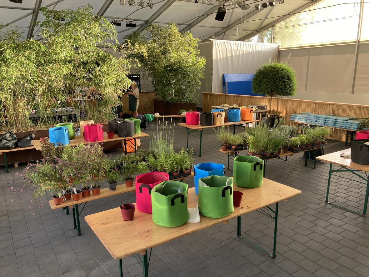 Urban Gardening – Herb Garden for Takeaway