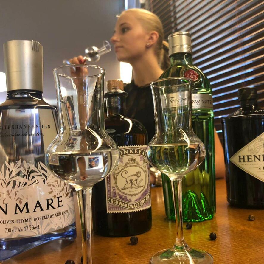 Gin Degustation in Zürich City