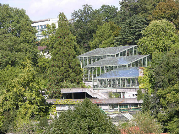 Botanischer Garten Bern