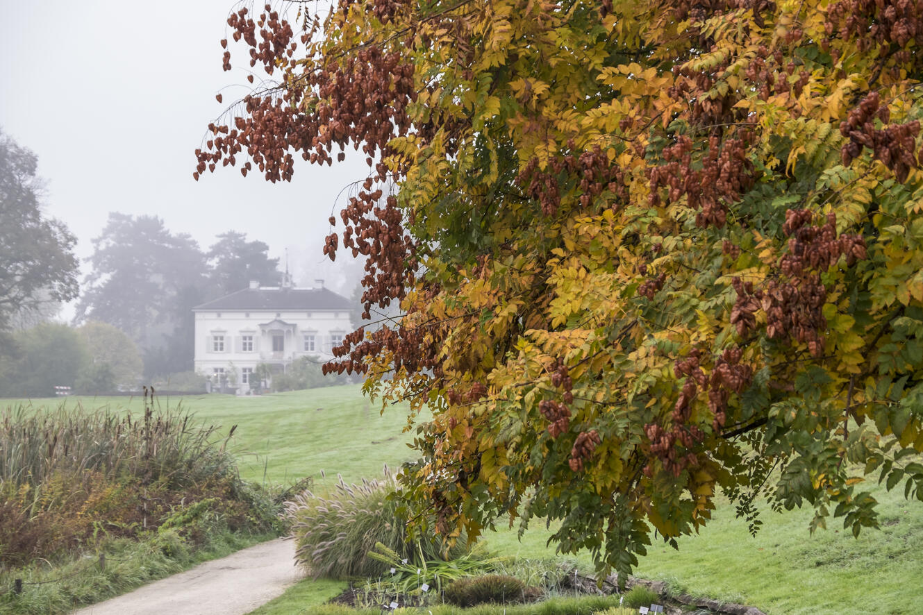 Herbst- & Winterzeit