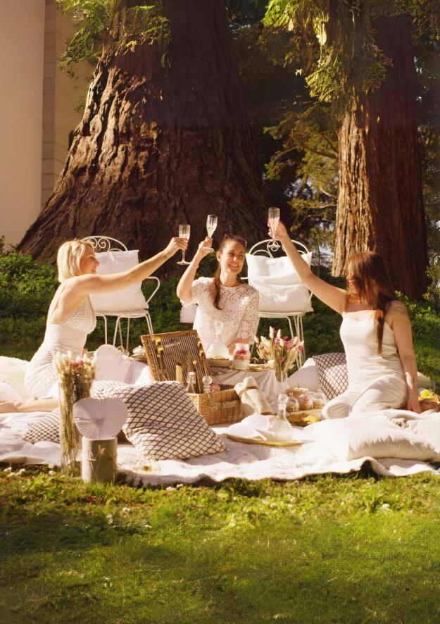 Picnic in the Park