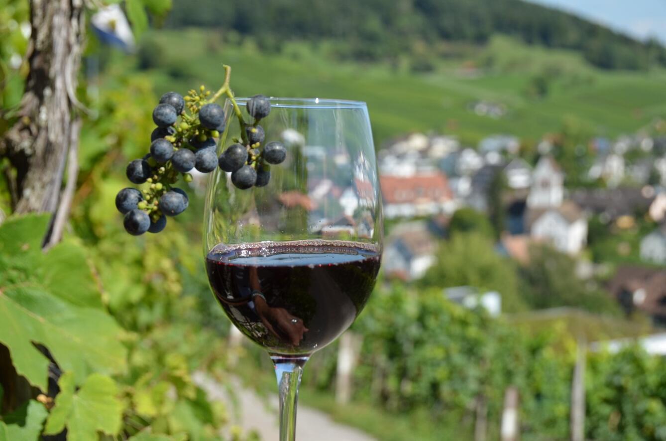 Winzerhaus - Bijou in the Vineyard