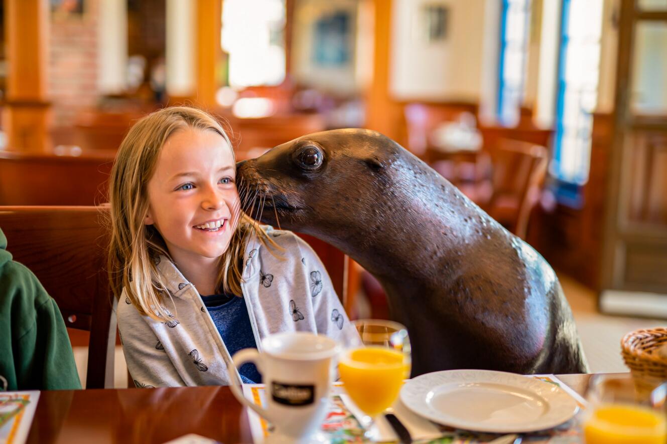 Conny-Land | Breakfast with sea lions
