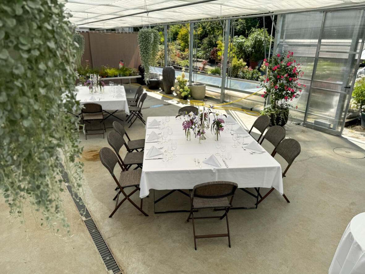 triibhuus.event Rothrist | Winter & Sommer
