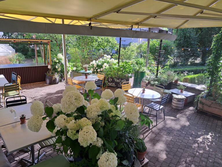 Café NAU Volketswil