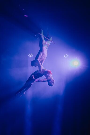 Winterzirkus SALTO