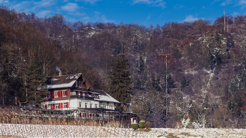 Winzerhaus - Bijou im Rebberg