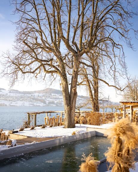 Seerose Resort & Spa am Hallwilersee