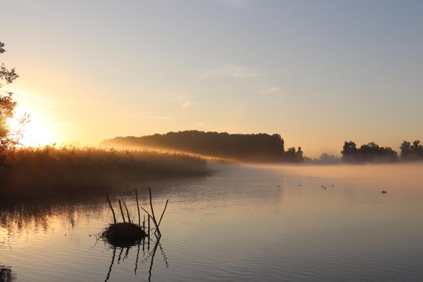 Sonnenaufgang Naturschutzgebiet