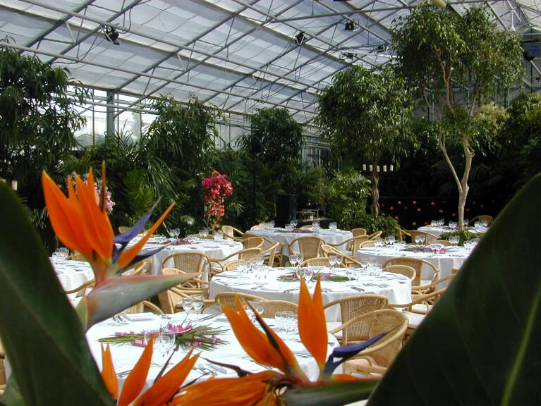 Blumenland Schweiz AG