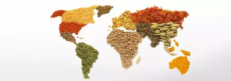 Food of the World