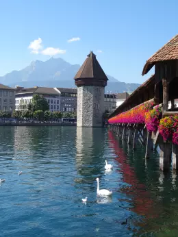 Weihnacht Voyage Culinaire in Luzern